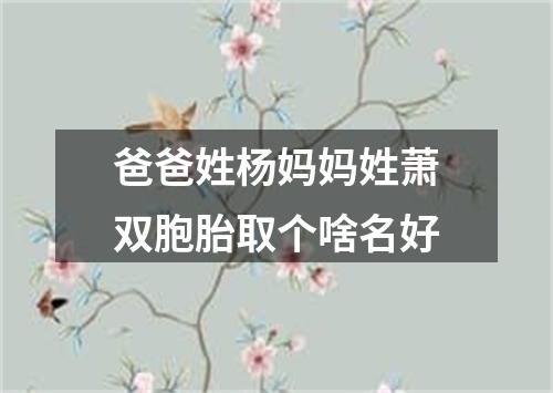 爸爸姓杨妈妈姓萧双胞胎取个啥名好