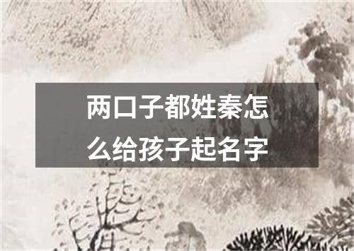 两口子都姓秦怎么给孩子起名字