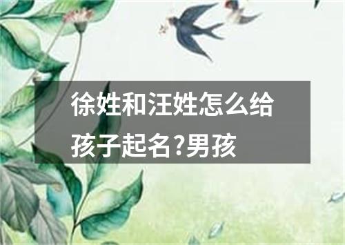 徐姓和汪姓怎么给孩子起名?男孩
