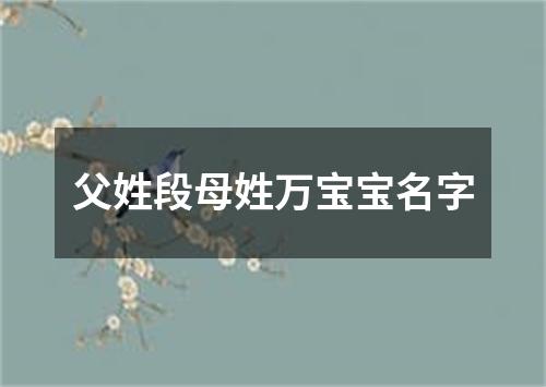 父姓段母姓万宝宝名字