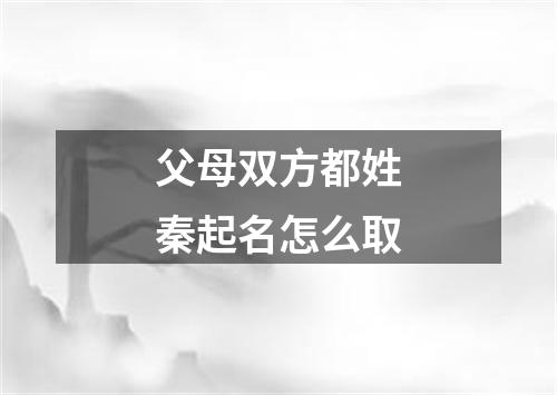 父母双方都姓秦起名怎么取