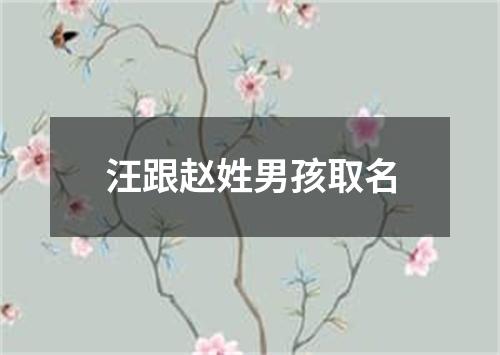 汪跟赵姓男孩取名