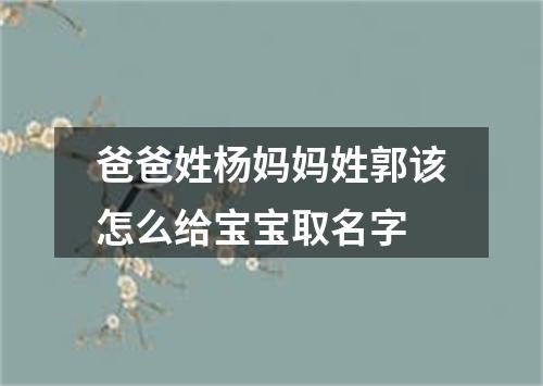 爸爸姓杨妈妈姓郭该怎么给宝宝取名字