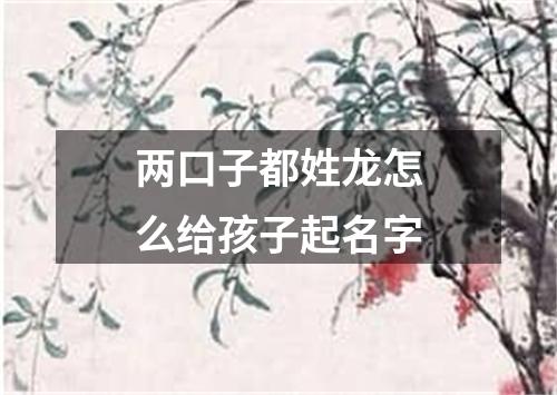 两口子都姓龙怎么给孩子起名字