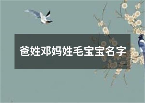 爸姓邓妈姓毛宝宝名字