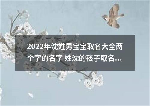 2022年沈姓男宝宝取名大全两个字的名字 姓沈的孩子取名男