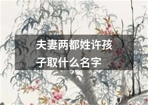 夫妻两都姓许孩子取什么名字