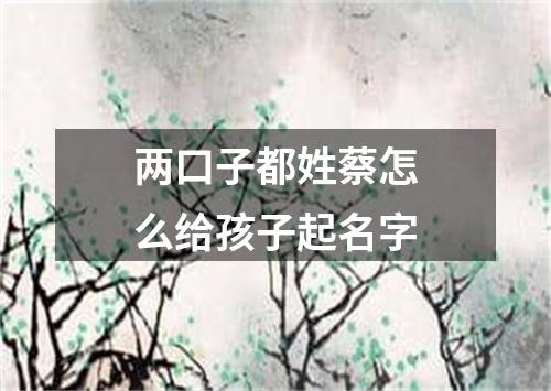 两口子都姓蔡怎么给孩子起名字