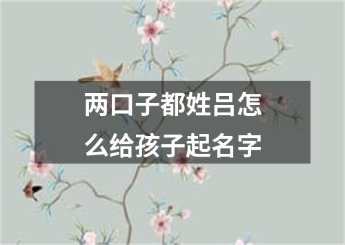两口子都姓吕怎么给孩子起名字