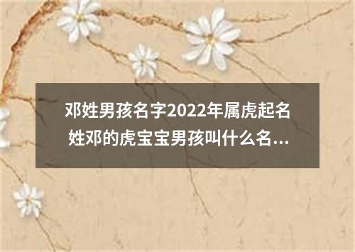 邓姓男孩名字2022年属虎起名 姓邓的虎宝宝男孩叫什么名字好
