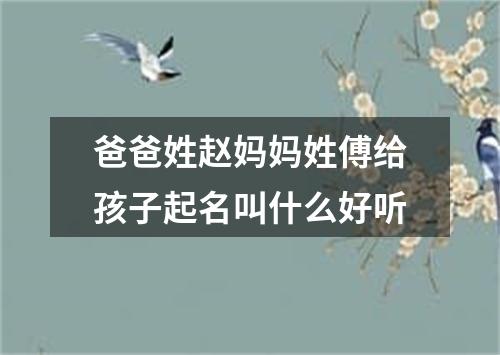 爸爸姓赵妈妈姓傅给孩子起名叫什么好听