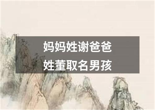 妈妈姓谢爸爸姓董取名男孩