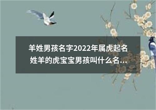 羊姓男孩名字2022年属虎起名 姓羊的虎宝宝男孩叫什么名字好