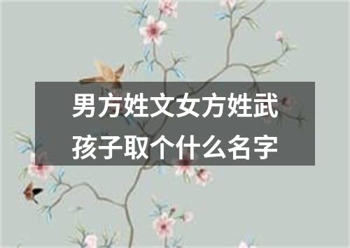 男方姓文女方姓武孩子取个什么名字