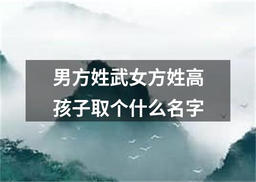 男方姓武女方姓高孩子取个什么名字