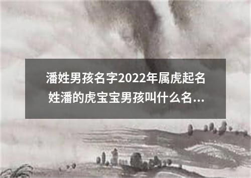 潘姓男孩名字2022年属虎起名 姓潘的虎宝宝男孩叫什么名字好