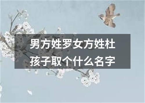 男方姓罗女方姓杜孩子取个什么名字