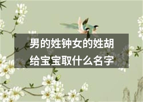 男的姓钟女的姓胡给宝宝取什么名字