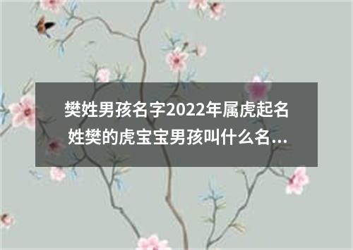 樊姓男孩名字2022年属虎起名 姓樊的虎宝宝男孩叫什么名字好