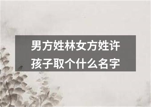男方姓林女方姓许孩子取个什么名字