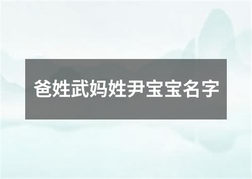 爸姓武妈姓尹宝宝名字