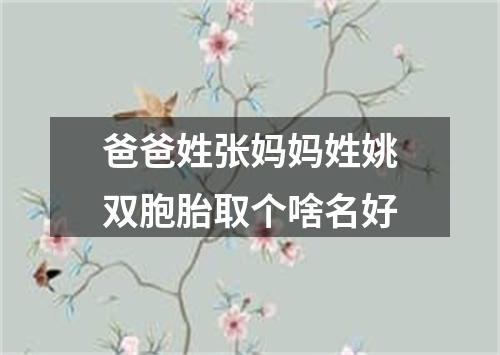 爸爸姓张妈妈姓姚双胞胎取个啥名好