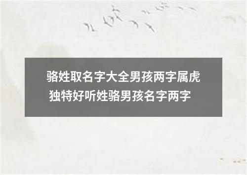 骆姓取名字大全男孩两字属虎 独特好听姓骆男孩名字两字
