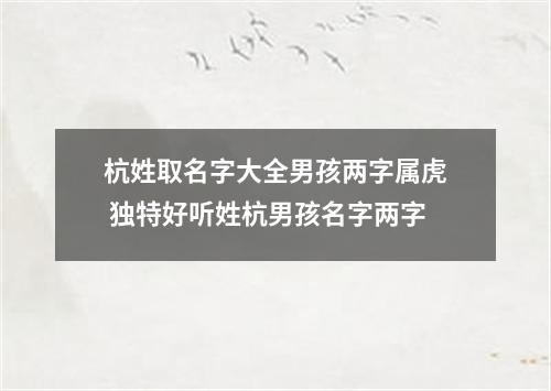 杭姓取名字大全男孩两字属虎 独特好听姓杭男孩名字两字