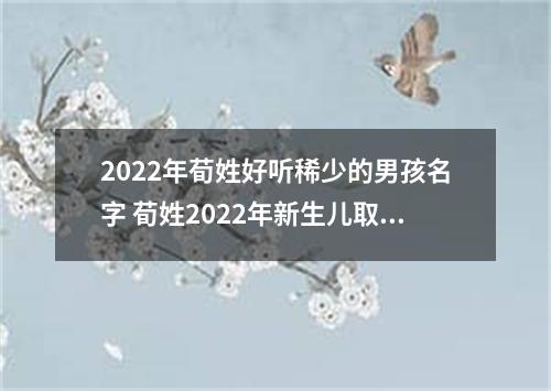 2022年荀姓好听稀少的男孩名字 荀姓2022年新生儿取名字