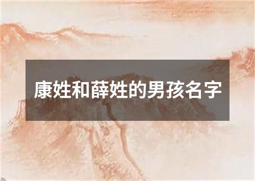 康姓和薛姓的男孩名字