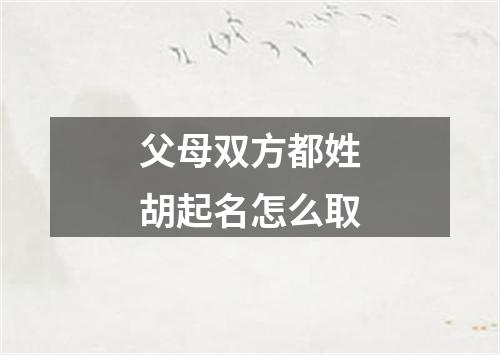 父母双方都姓胡起名怎么取