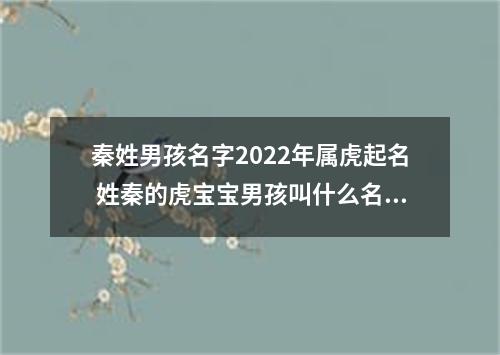 秦姓男孩名字2022年属虎起名 姓秦的虎宝宝男孩叫什么名字好