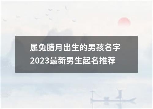 属兔腊月出生的男孩名字 2023最新男生起名推荐