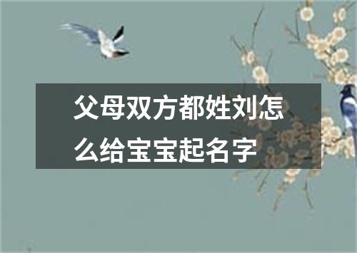 父母双方都姓刘怎么给宝宝起名字