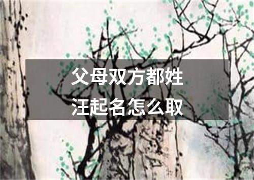 父母双方都姓汪起名怎么取