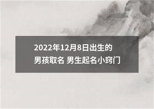 2022年12月8日出生的男孩取名 男生起名小窍门