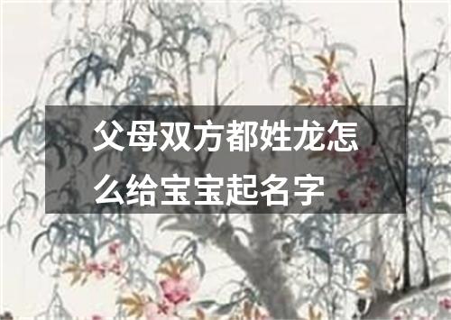 父母双方都姓龙怎么给宝宝起名字