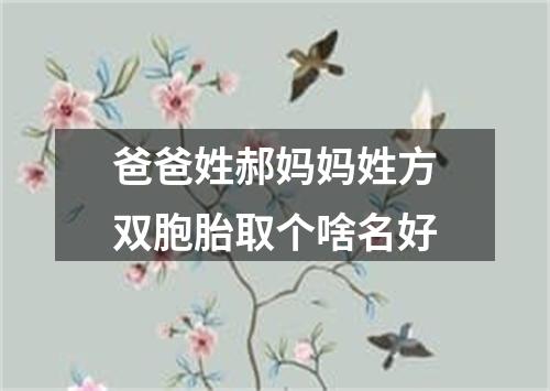 爸爸姓郝妈妈姓方双胞胎取个啥名好