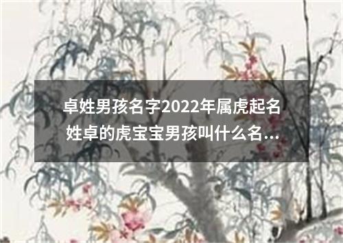 卓姓男孩名字2022年属虎起名 姓卓的虎宝宝男孩叫什么名字好