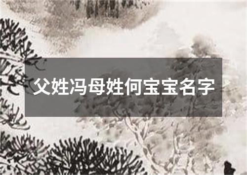 父姓冯母姓何宝宝名字