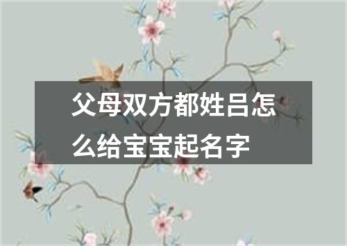 父母双方都姓吕怎么给宝宝起名字