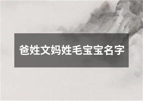 爸姓文妈姓毛宝宝名字