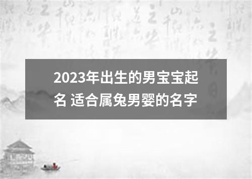 2023年出生的男宝宝起名 适合属兔男婴的名字