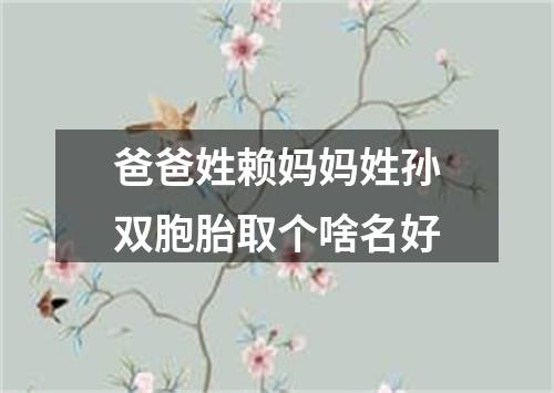 爸爸姓赖妈妈姓孙双胞胎取个啥名好