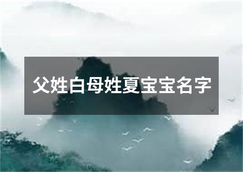 父姓白母姓夏宝宝名字