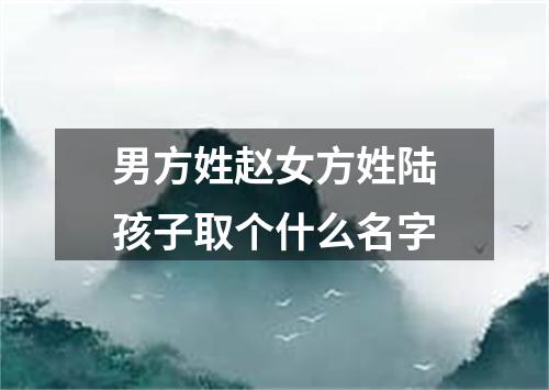 男方姓赵女方姓陆孩子取个什么名字