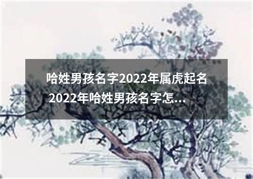 哈姓男孩名字2022年属虎起名 2022年哈姓男孩名字怎么起