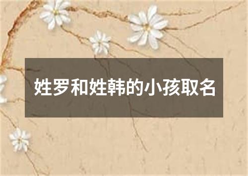 姓罗和姓韩的小孩取名