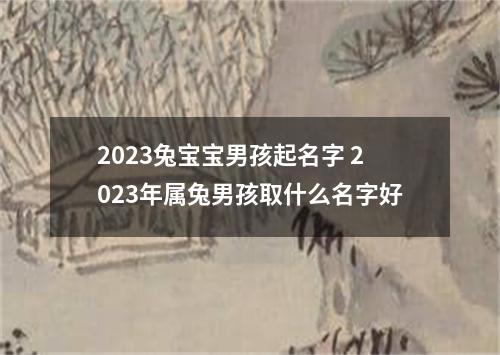 2023兔宝宝男孩起名字 2023年属兔男孩取什么名字好