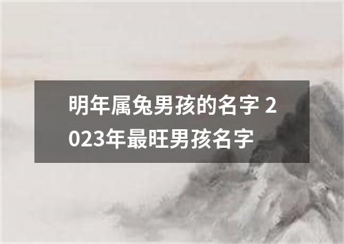 明年属兔男孩的名字 2023年最旺男孩名字